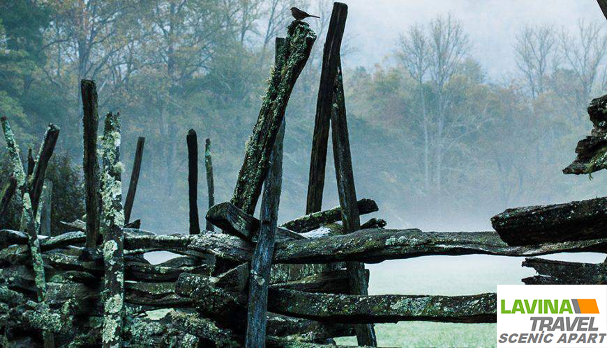 Şehir Spot İpucu: Philadelphia